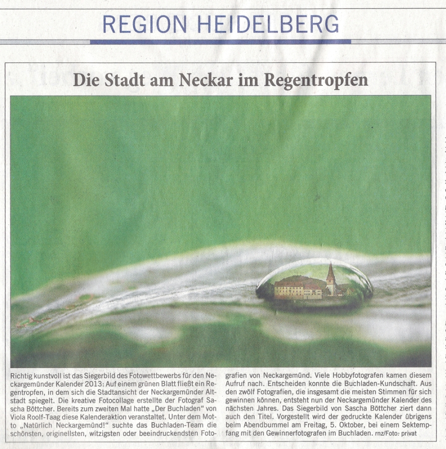 Rhein-Neckar-Zeitung 2012